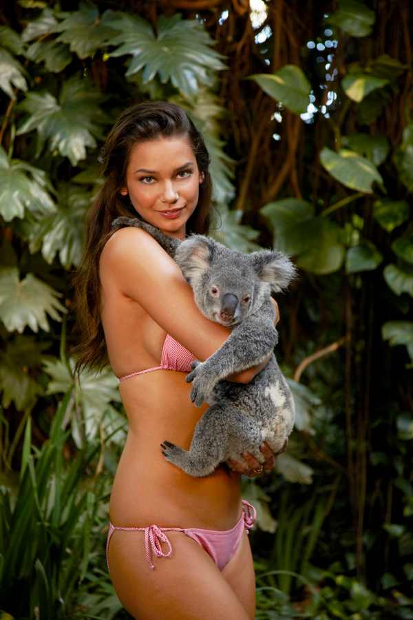 animals-michelle-v-koala1.jpg